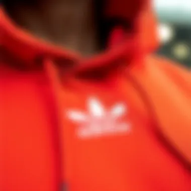 Detailed Look at Quality Fabric and Design Close-up of hoodie fabric and design