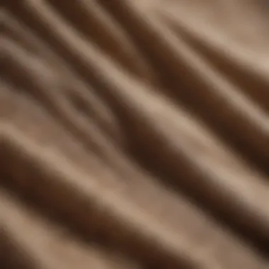 Fabric Texture of Almost Famous Brand Shorts A close-up view of the fabric texture of Almost Famous brand shorts.