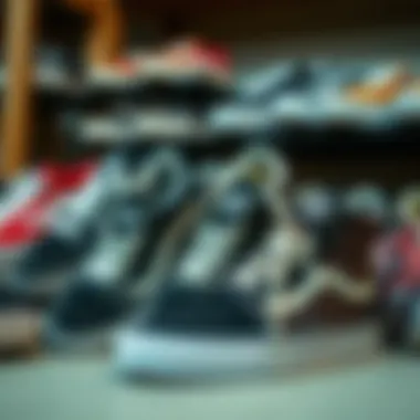 Diverse Styles of Closeout Vans Various styles of closeout Vans shoes displayed