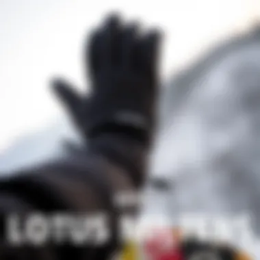 Comparison of Dakine Lotus Mittens with Other Products Comparison chart of Dakine Lotus Mittens against other mittens