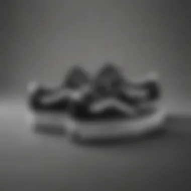 Unique Design of Black and White Velcro Vans Stylish black and white Velcro Vans showcasing their unique design