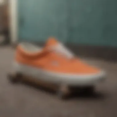 Historical evolution of Vans in skateboarding.