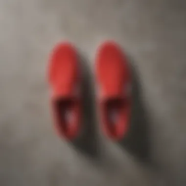 Side-by-side comparison of red suede Vans slip-ons and other popular skate shoes