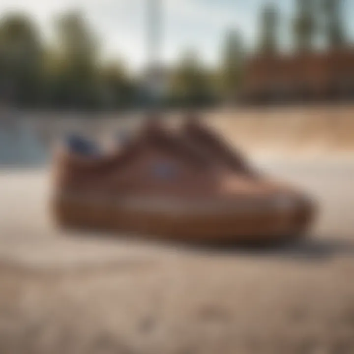 A pair of brown Vans positioned against a textured skate park background