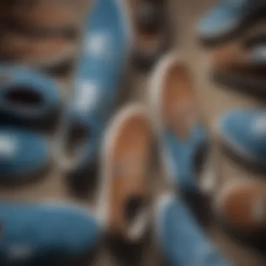 A collection of blue and brown Vans lined up, highlighting their color contrast