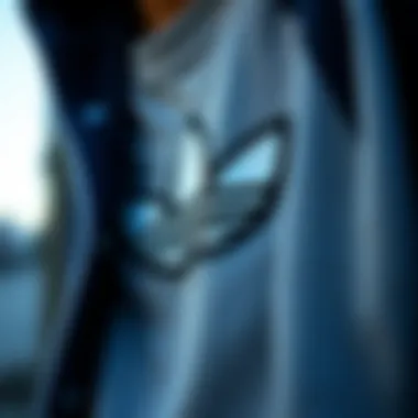 Iconic Streetwear Brand Logo An iconic streetwear brand logo displayed on a skateboarder’s apparel.