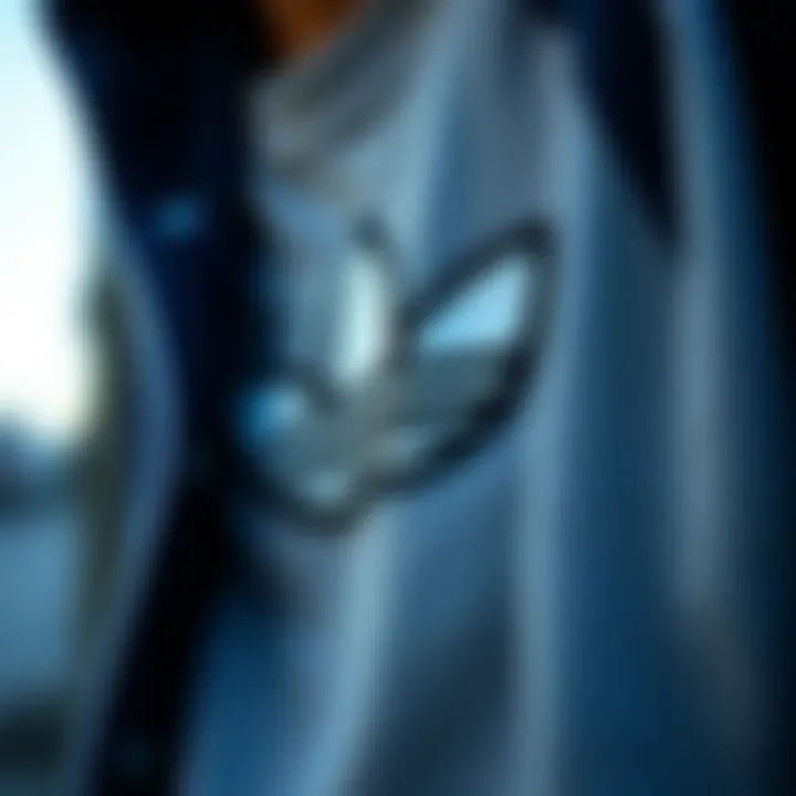 Iconic Streetwear Brand Logo An iconic streetwear brand logo displayed on a skateboarder’s apparel.