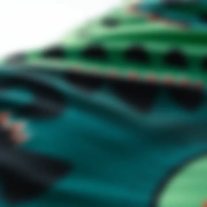 Close-up of fabric texture of dinosaur board shorts