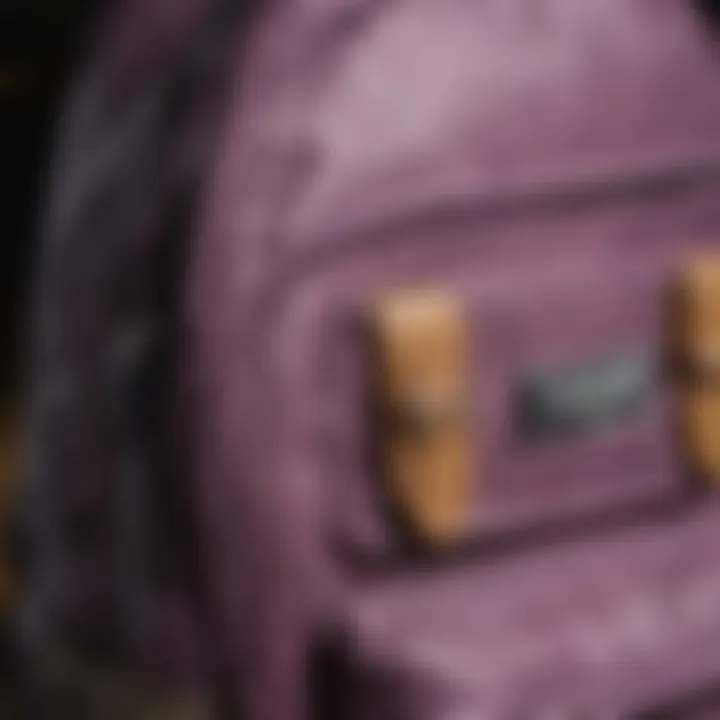 Close-up of the mauve backpack's intricate stitching and material texture.