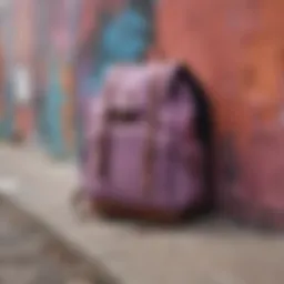 A stylish mauve backpack resting against a vibrant graffiti wall.