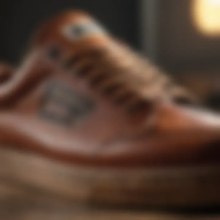 Close-up of SB Bruin shoe showcasing its detailed craftsmanship.