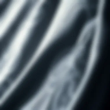 Quality Fabric for Skateboarding Sweatshirts Close-up of sweatshirt fabric suitable for skateboarding