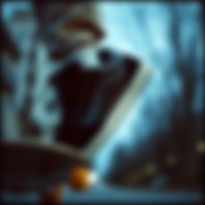 Unlocking Savings with Lakai Shoes Discount Code Discount code visual for Lakai shoes