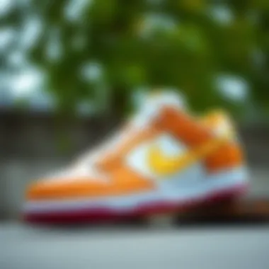 Unique Design Elements of Nike SB Dunk Low Pro Nike SB Dunk Low Pro showcasing unique design elements