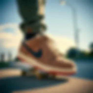 Performance Features for Skateboarding Performance features of Nike SB Dunk Low Pro for skateboarding