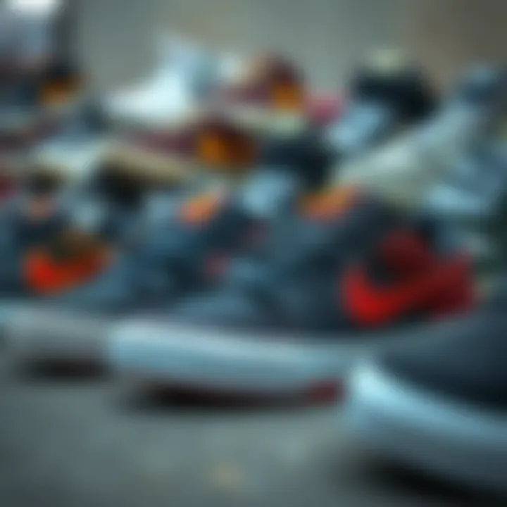 Diverse Styles of Nike SB Shoes A collection of various Nike SB shoes showcasing different colorways and styles.