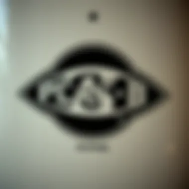 Evolution of the Plan B Logo Plan B Skateboards logo evolution