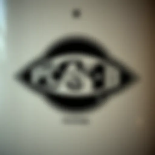 Evolution of the Plan B Logo Plan B Skateboards logo evolution