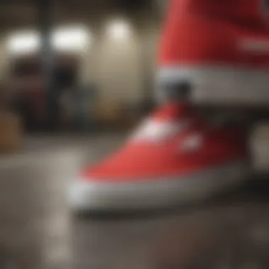 Care tips for maintaining red suede Vans slip-ons