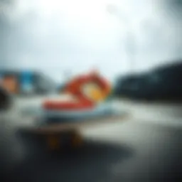 Size 15 Nike SB shoes showcased on a skateboard