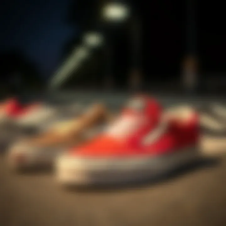 Comparative Analysis of Skate Footwear A collection of popular skate shoes for comparison with Vans Slip-On Lo Pro.