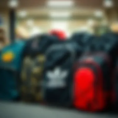 Collection of Skateboard Laptop Backpack Brands Various brands of skateboard laptop backpacks displayed together