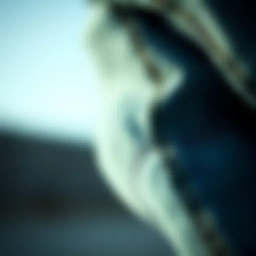 Fabric Texture and Stitching Details Close-up of the fabric texture and stitching details of skinny fit double knee Dickies.