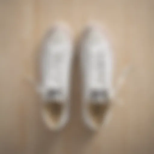 A pair of all-white Converse sneakers resting on a skateboard deck