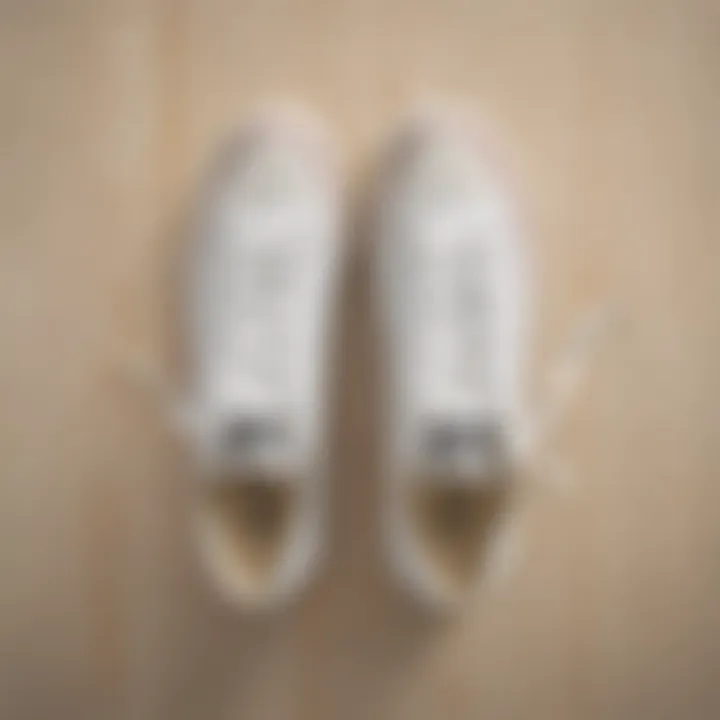 A pair of all-white Converse sneakers resting on a skateboard deck