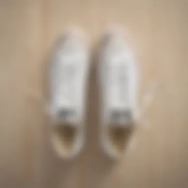 All-White Converse Sneakers on Skateboard A pair of all-white Converse sneakers resting on a skateboard deck