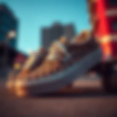 Urban Style with Leopard Vans Close-up of leopard Vans with urban backdrop