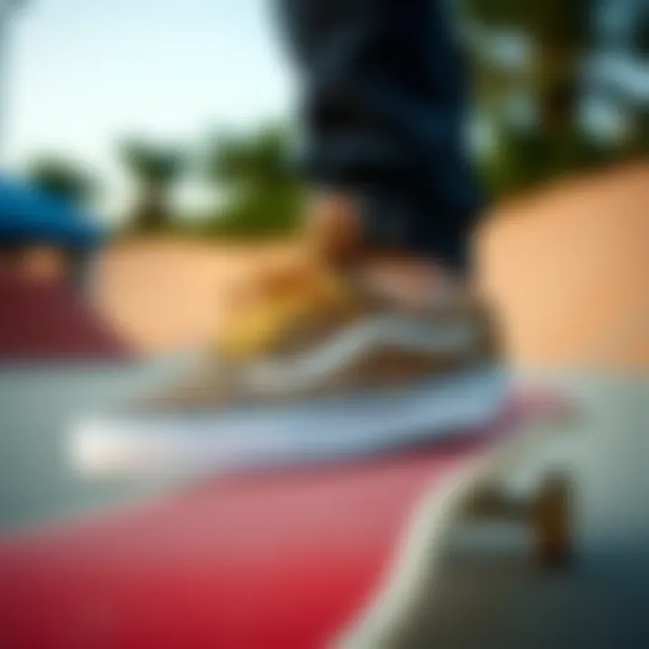 Leopard Vans on Skateboard Leopard Vans showcased on a skateboard