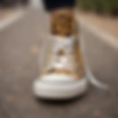 Cheetah print Converse shoes on a skateboard