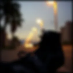 Vans silhouette showcasing sleek design