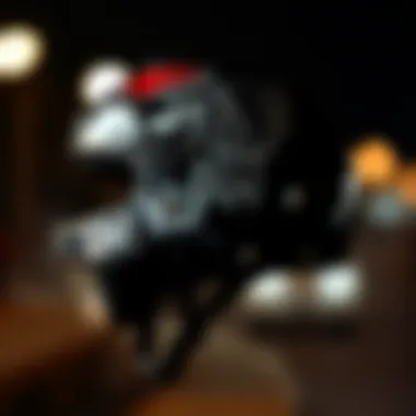 The iconic Tony Hawk helmet showcasing its signature design