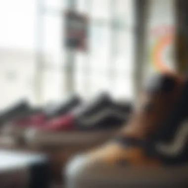 Aesthetic Appeal of the Latest Vans Footwear Stylish design of Vans shoes on display