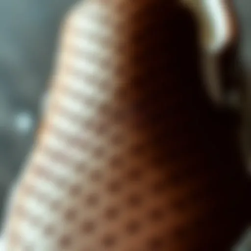 Close-up view of the Vans Leather Perf Slip-On showcasing its texture and design