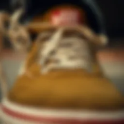 Detailed view of Vans UltraRange lacing system