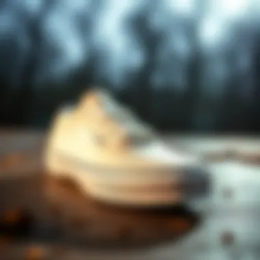 Materials Behind the Vans Velcro Gum Sole A detailed look at the materials used in Vans Velcro gum sole footwear